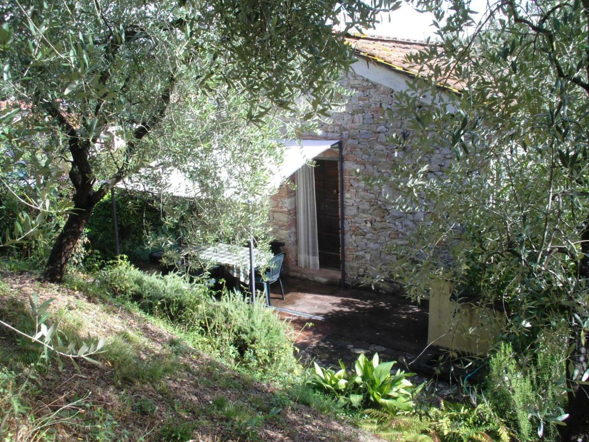 Il Fienile Villa Ripafratta Eksteriør billede
